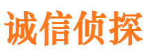 定安诚信私家侦探公司